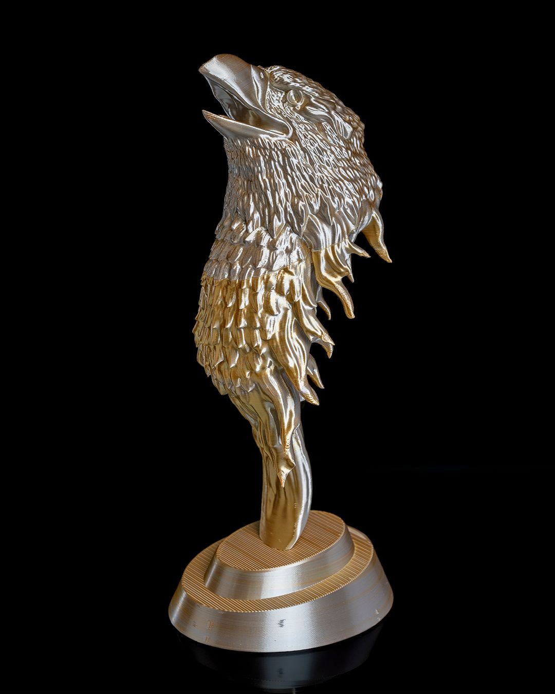The FireHawk – Image 3