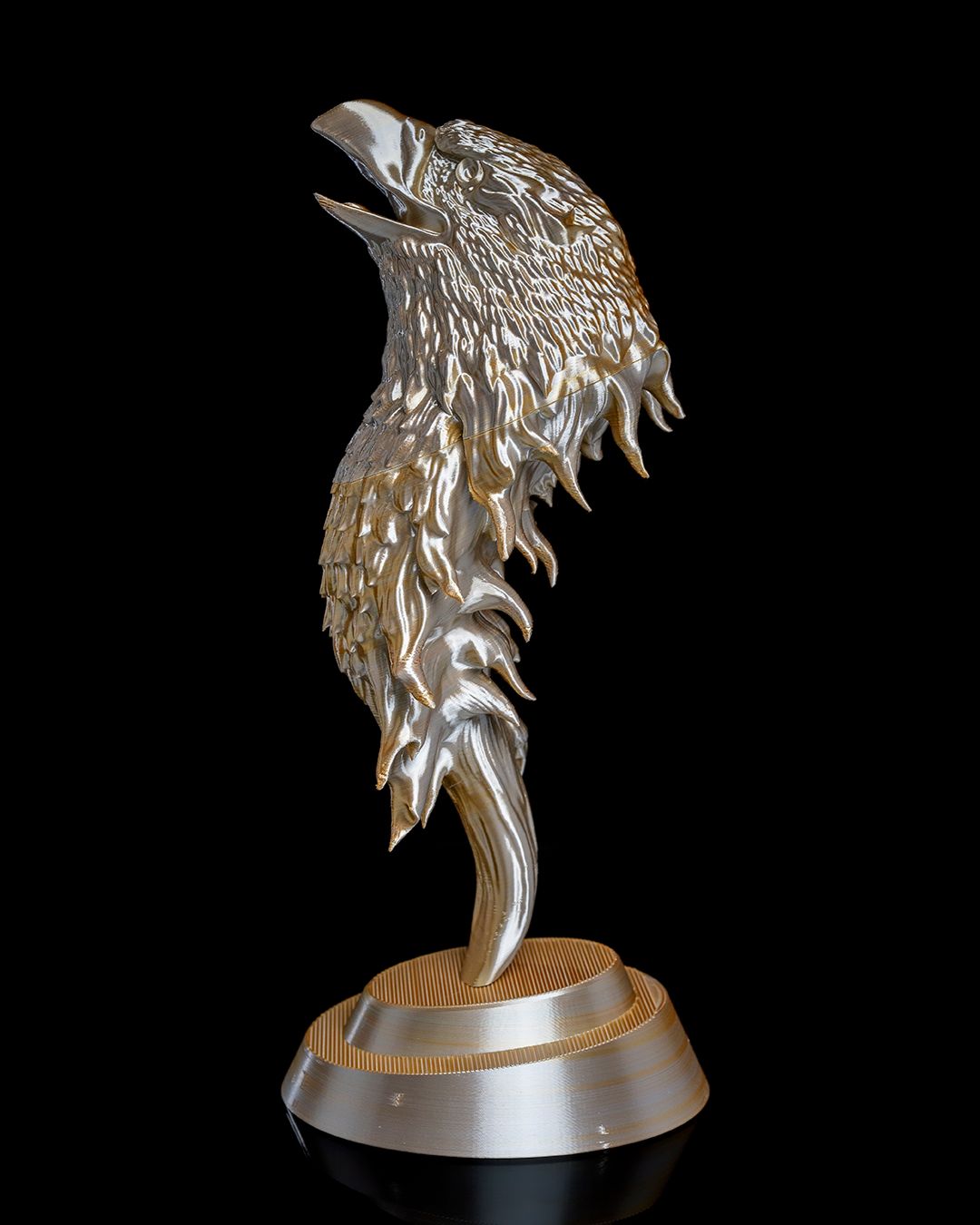 The FireHawk – Image 4