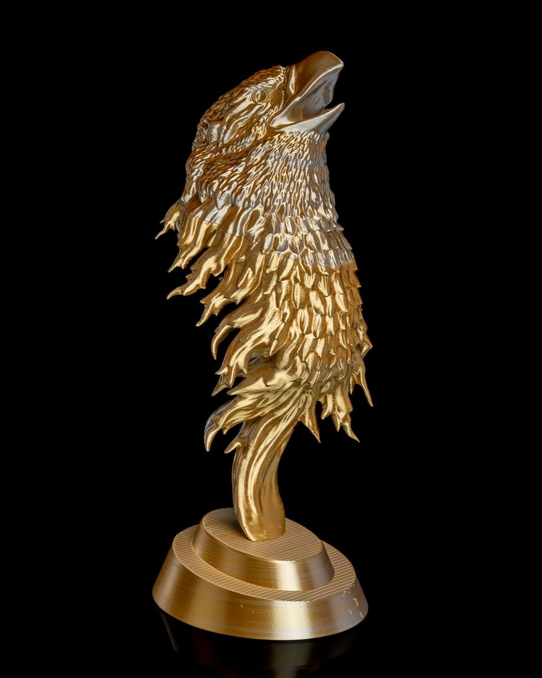 The FireHawk – Image 2